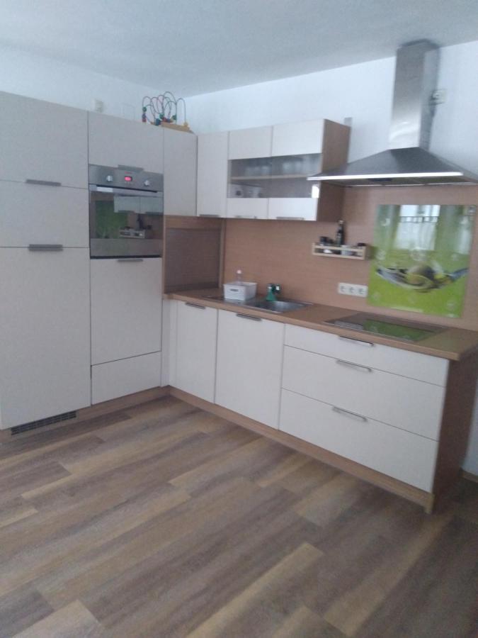 צל-אם-זי Appartement Schmittenblick מראה חיצוני תמונה